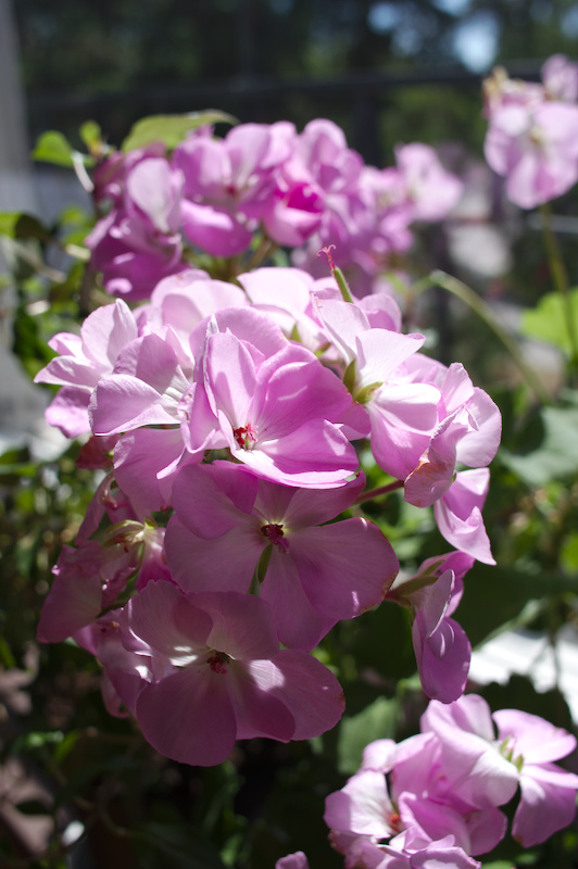 IMGP8328_01
