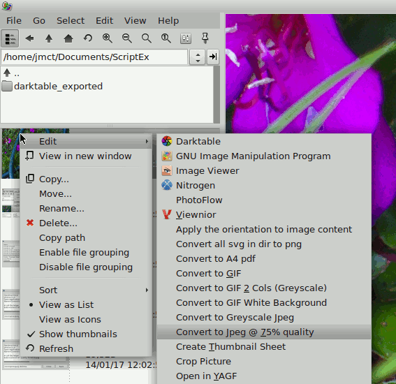 jpg pcx linux imagemagick